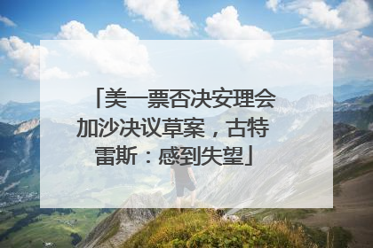 美一票否决安理会加沙决议草案，古特雷斯：感到失望
