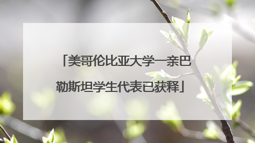 美哥伦比亚大学一亲巴勒斯坦学生代表已获释
