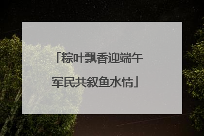 粽叶飘香迎端午 军民共叙鱼水情