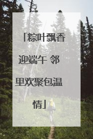 粽叶飘香迎端午 邻里欢聚包温情