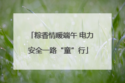 粽香情暖端午 电力安全一路“童”行