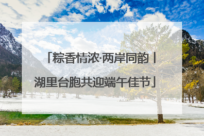 粽香情浓·两岸同韵丨湖里台胞共迎端午佳节