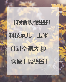 粮食收储里的科技范儿：玉米住进空调房 粮仓披上隔热罩