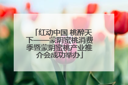 红动中国 桃醉天下——蒙阴蜜桃消费季暨蒙阴蜜桃产业推介会成功举办
