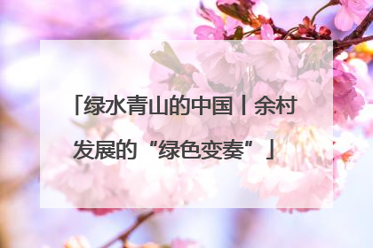 绿水青山的中国丨余村发展的“绿色变奏”