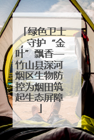 绿色卫士，守护“金叶”飘香—竹山县深河烟区生物防控为烟田筑起生态屏障