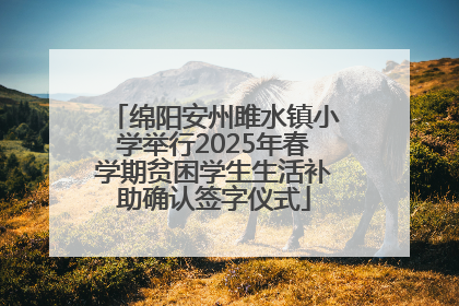 绵阳安州雎水镇小学举行2025年春学期贫困学生生活补助确认签字仪式