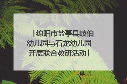 绵阳市盐亭县岐伯幼儿园与石龙幼儿园开展联合教研活动