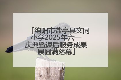 绵阳市盐亭县文同小学2025年六一庆典暨课后服务成果展圆满落幕