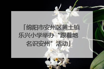 绵阳市安州区黄土镇乐兴小学举办“跟着地名识安州”活动