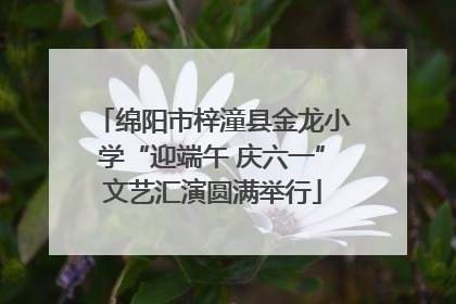 绵阳市梓潼县金龙小学“迎端午 庆六一”文艺汇演圆满举行