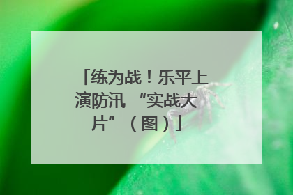 练为战！乐平上演防汛 “实战大片”（图）