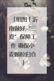 组图丨沂南做好“三夏”保障工作 确保小麦颗粒归仓