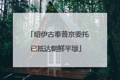 绍伊古奉普京委托已抵达朝鲜平壤