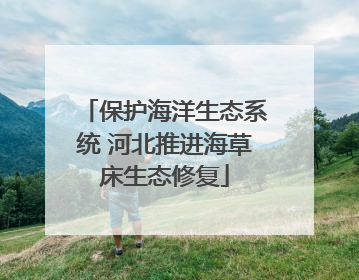 保护海洋生态系统 河北推进海草床生态修复