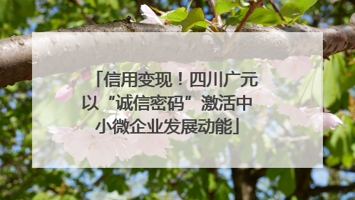 信用变现！四川广元以“诚信密码”激活中小微企业发展动能