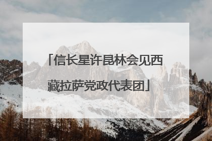 信长星许昆林会见西藏拉萨党政代表团