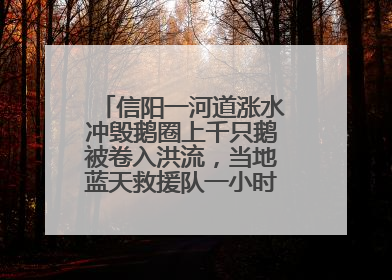 信阳一河道涨水冲毁鹅圈上千只鹅被卷入洪流，当地蓝天救援队一小时赶鹅上岸