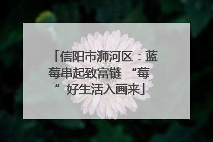 信阳市浉河区：蓝莓串起致富链 “莓”好生活入画来