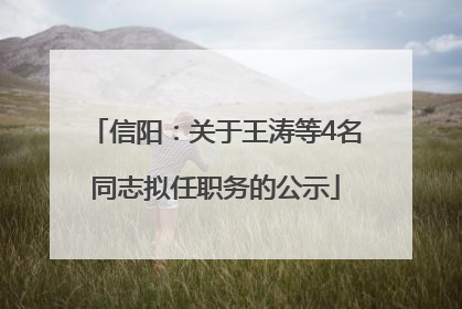 信阳：关于王涛等4名同志拟任职务的公示