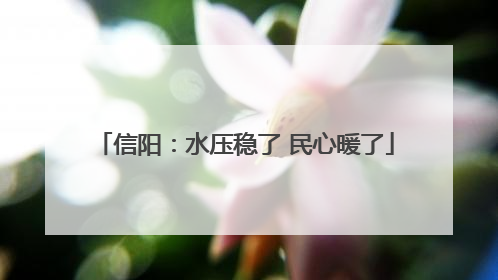 信阳：水压稳了 民心暖了