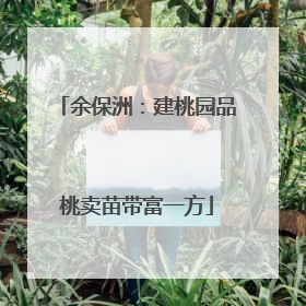 余保洲：建桃园品桃卖苗带富一方