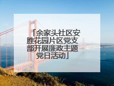 余家头社区安胜花园片区党支部开展廉政主题党日活动