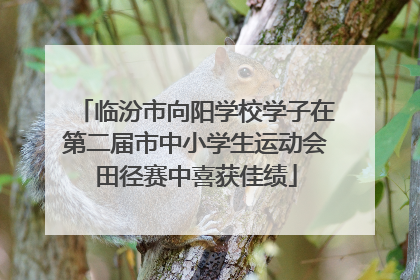 临汾市向阳学校学子在第二届市中小学生运动会田径赛中喜获佳绩