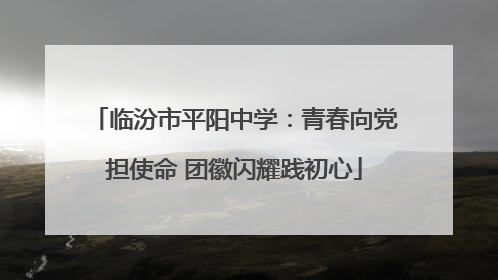 临汾市平阳中学：青春向党担使命 团徽闪耀践初心