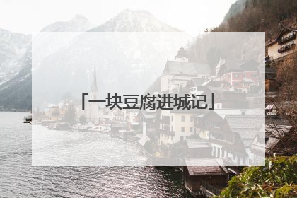 一块豆腐进城记