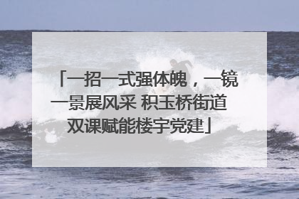 一招一式强体魄，一镜一景展风采 积玉桥街道双课赋能楼宇党建