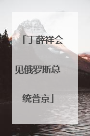 丁薛祥会见俄罗斯总统普京