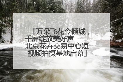 万朵飞花今倾城，千屏绽放美好声——北京花卉交易中心短视频拍摄基地启幕