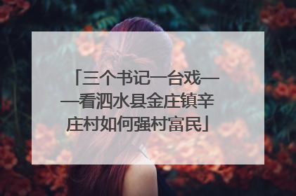 三个书记一台戏——看泗水县金庄镇辛庄村如何强村富民