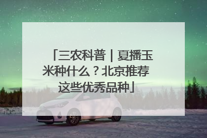 三农科普｜夏播玉米种什么？北京推荐这些优秀品种