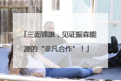 三面锦旗，见证振森能源的“非凡合作”！