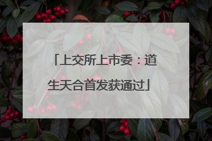 上交所上市委：道生天合首发获通过