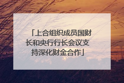 上合组织成员国财长和央行行长会议支持深化财金合作