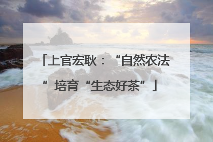 上官宏耿：“自然农法”培育“生态好茶”