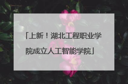 上新！湖北工程职业学院成立人工智能学院
