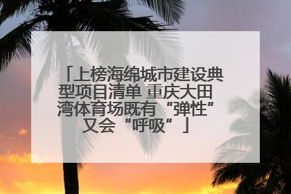 上榜海绵城市建设典型项目清单 重庆大田湾体育场既有“弹性”又会“呼吸”