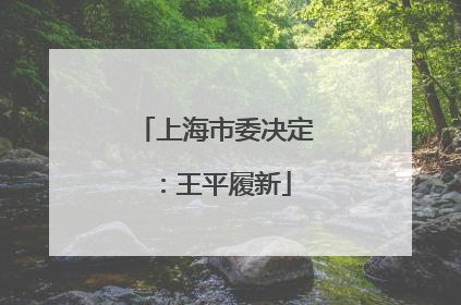 上海市委决定：王平履新