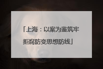 上海：以案为鉴筑牢拒腐防变思想防线