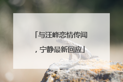 与汪峰恋情传闻，宁静最新回应