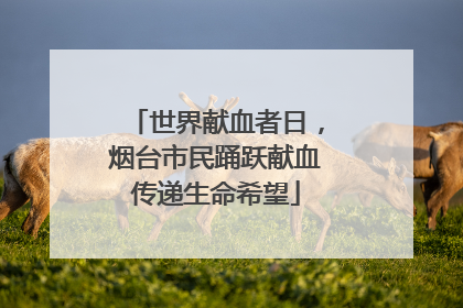 世界献血者日，烟台市民踊跃献血传递生命希望