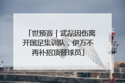 世预赛｜武磊因伤离开国足集训队，伊万不再补招顶替球员
