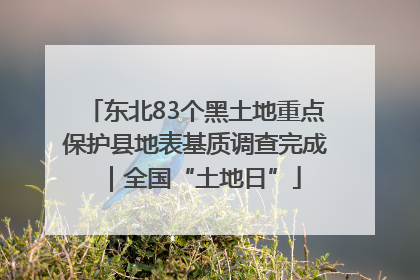 东北83个黑土地重点保护县地表基质调查完成｜全国“土地日”