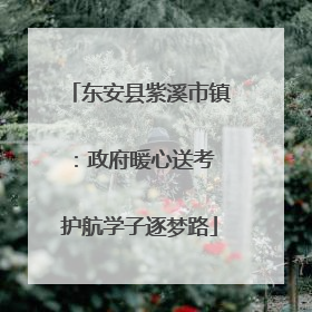 东安县紫溪市镇：政府暖心送考 护航学子逐梦路