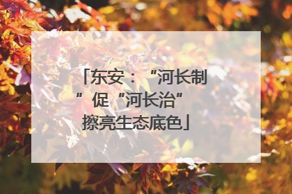 东安：“河长制”促“河长治” 擦亮生态底色