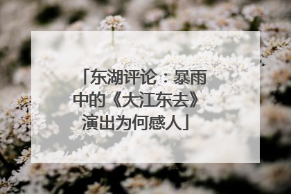东湖评论：暴雨中的《大江东去》演出为何感人